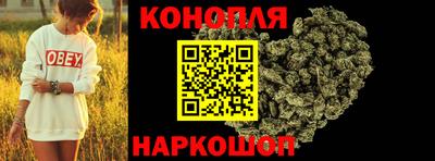 прущие грибы Ирбит