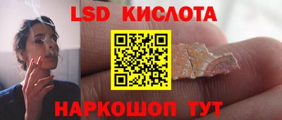 прущие грибы Ирбит