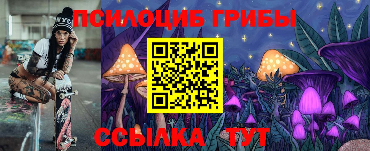 Псилоцибиновые грибы мицелий Михайловск
