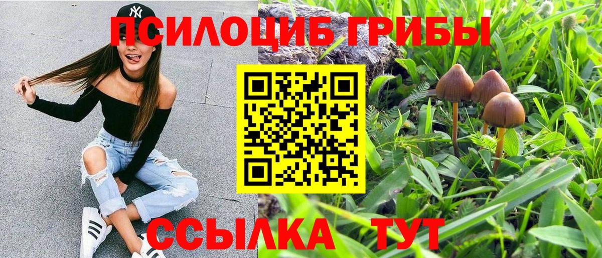 Михайловск  Псилоцибиновые грибы ЛСД  Вход с VPN  Псилоцибиновые грибы Psilocybine cubensis 